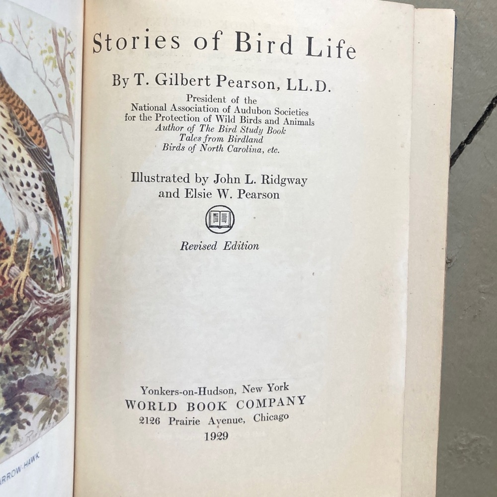 1929 Stories of Bird Life Pearson Animals Audubon Preservation Birds Birdwatcher - Picture 4 of 16